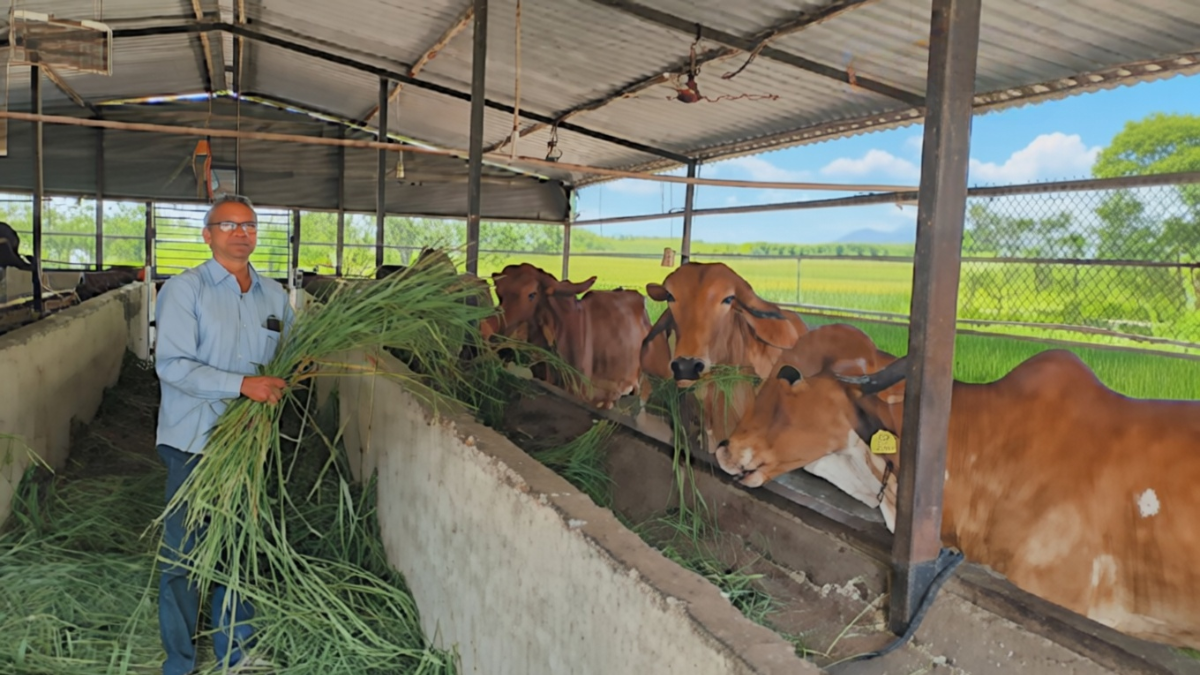 નોકરી શોધીને હારી ગયા છો? તો આ એક સાચી કહાની વાંચો, તમારા વિચારો આજે જ બદલાઈ જશે